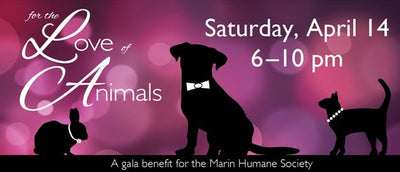 Stylish Success at the Humane Society Fundraiser!