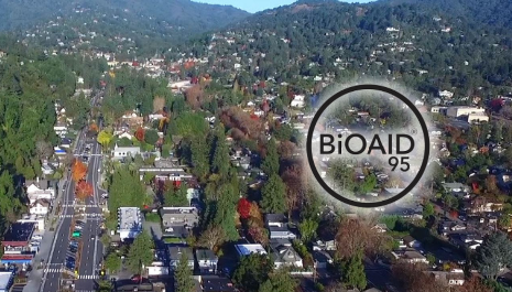 Here For Mill Valley