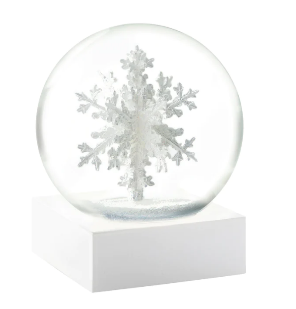 Snowflake Snow Globe