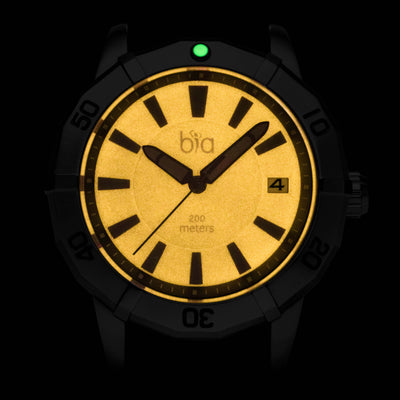 Bia 'Rosie' Dive Watch B2009