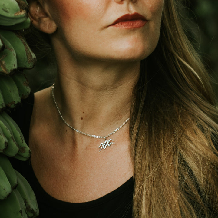 Zodiac Charm - Aquarius (1/20-2/18)